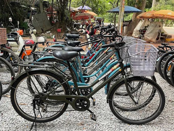 Electra Townie 7D
